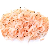 krill
