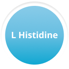 L-Histidine