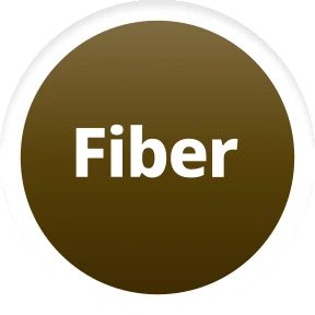 Dietary Fibre