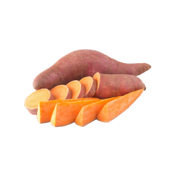 Sweet Potato
