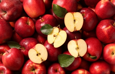 รวม 10 อาห