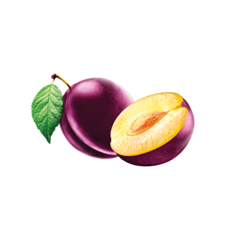 Prune